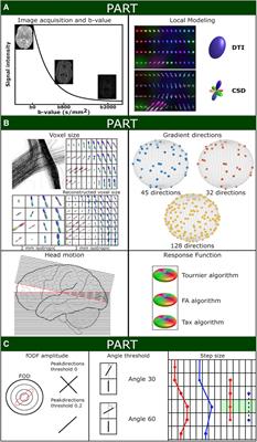 Feasibility study to unveil the potential: considerations of constrained spherical deconvolution tractography with unsedated neonatal diffusion brain MRI data